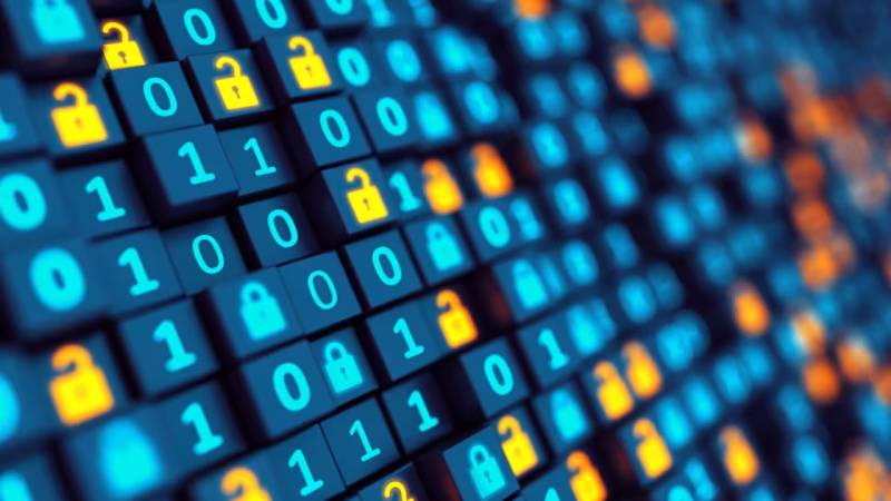 陆河县软件开发：以硬核实力，筑工业数字基石
